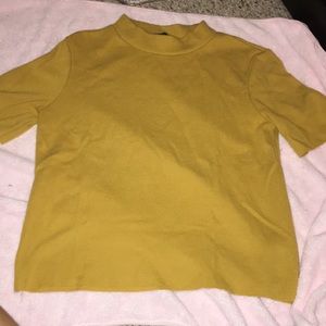 Zara short sleeve turtle neck